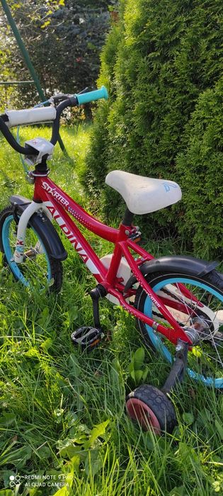 Rower Alpina Star 16cali