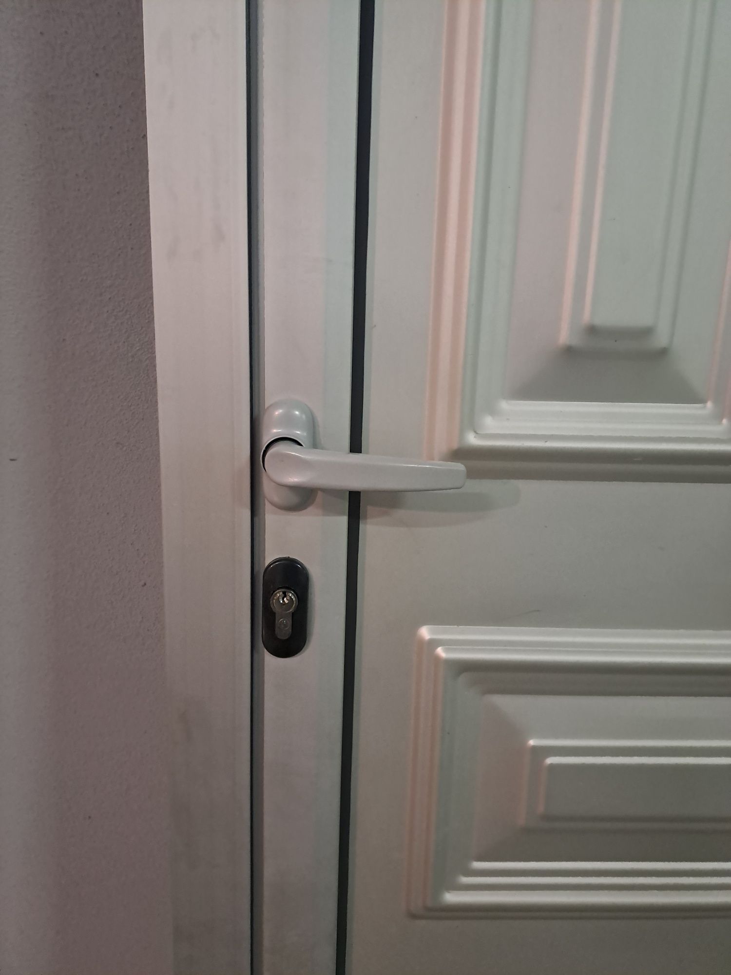 Porta em alumínio Nova