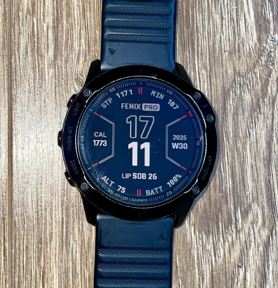 Garmin fenix 6x pro