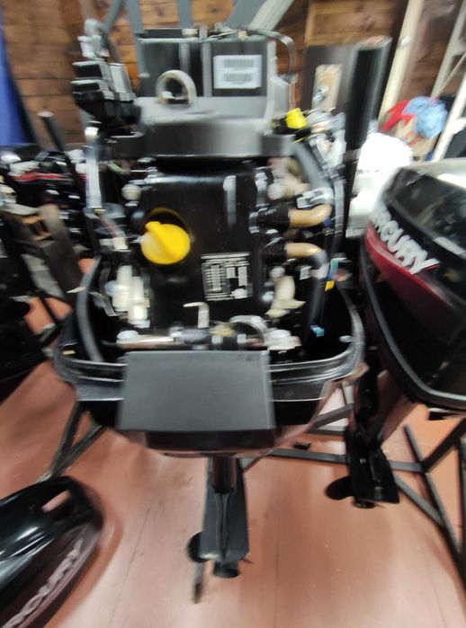 Лодочный мотор Mercury EFI25 L