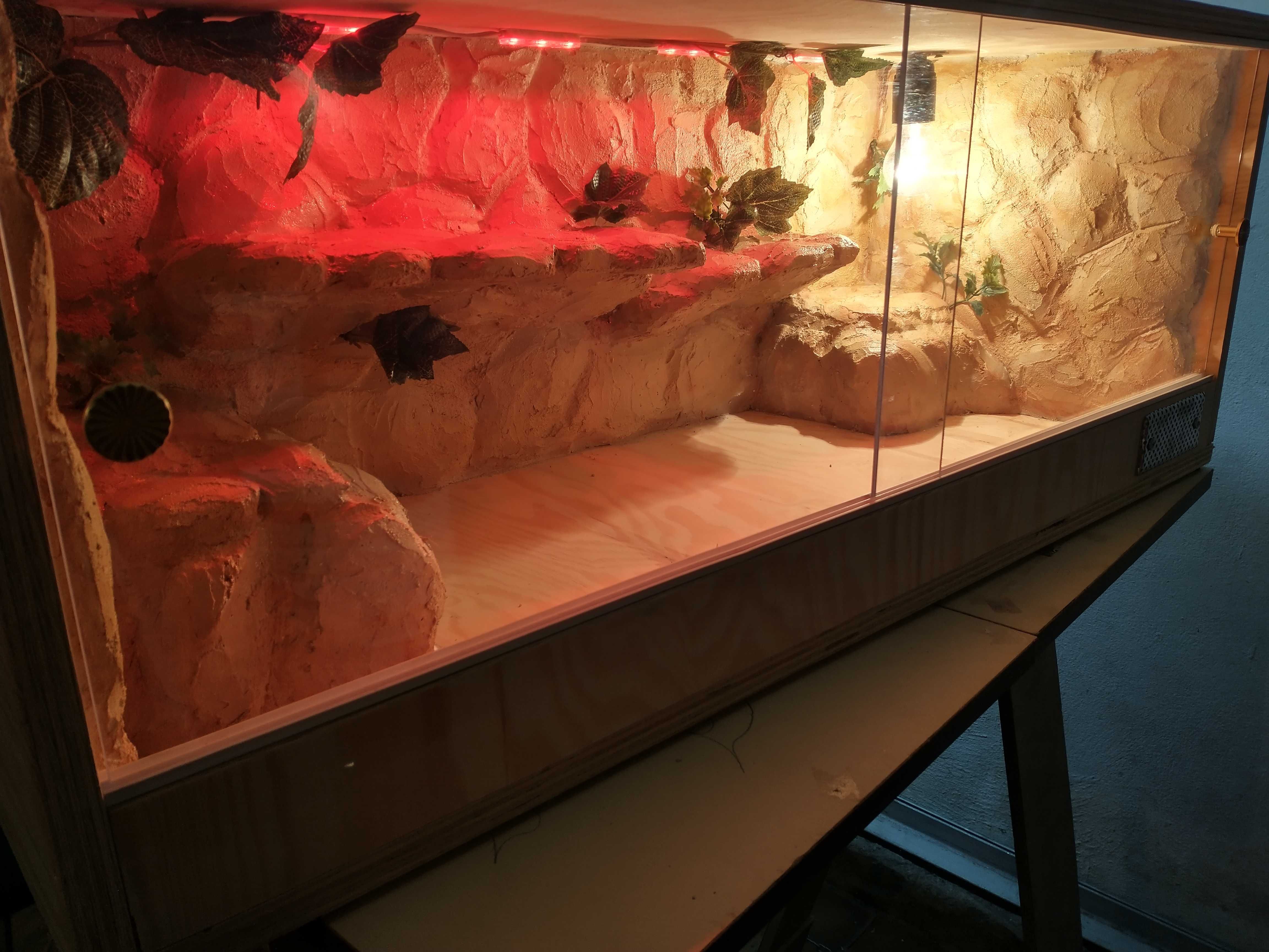 Terrarium skalne dla agamy,gekona ,nowe