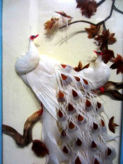 Винтажная рамка-витрина из настоящего павлиньего пера Перламутр