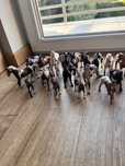 konie schleich 18 sztuk