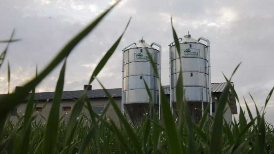 Silos silosy 20 ton 25t 30t 38t zbiornik na zboże Marco-Polo DOSTĘPNE