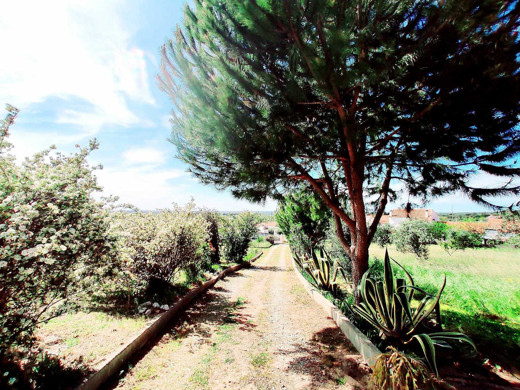 Refúgio de sonho em Portalegre! Quinta com Moradia de Charme!!