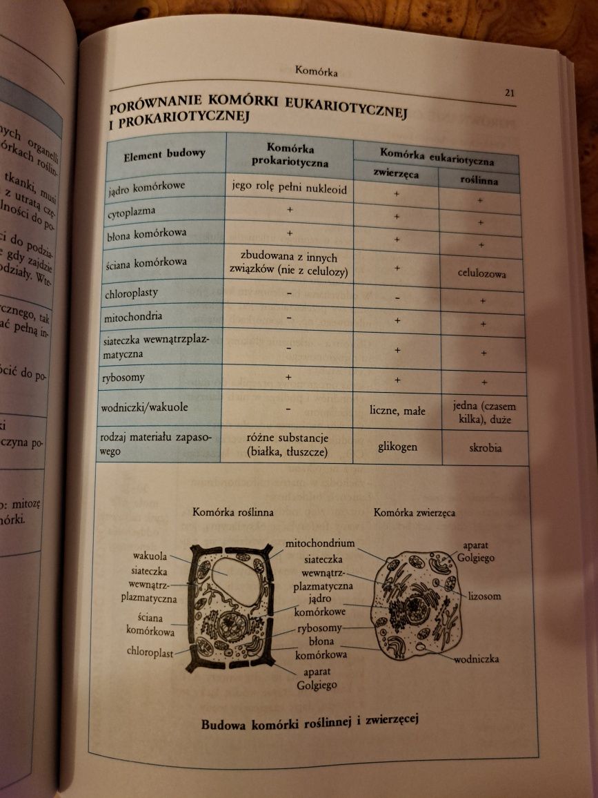 Tablica biologiczna matura biologia vademecum