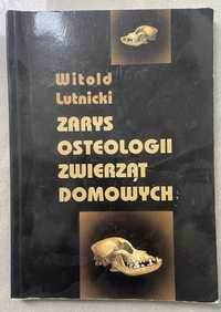 Osteologia Lutnicki