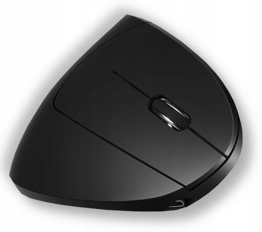 Ergonomiczna Bezprzewodowa Mysz Pionowa W2400