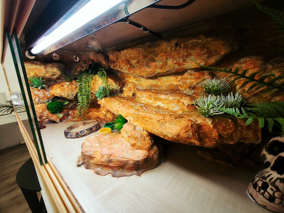 Terrarium agama terrarium pustynne 100x40x40 cały osprzęt