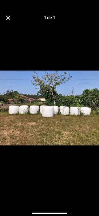 Rolos de feno-silagem e feno