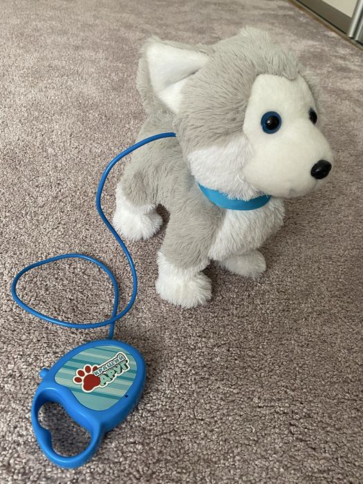 Інтерактивні іграшки доя дітей. Куплені в Будинок іграшок.