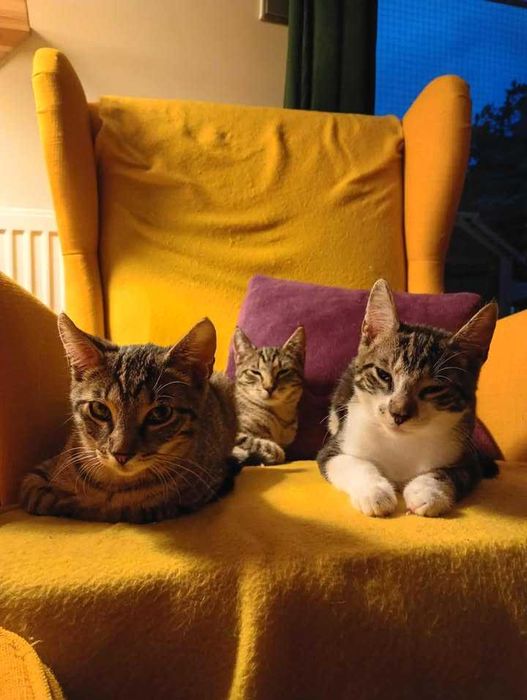 Snusia i Koksik – duet, który skradnie Ci serce