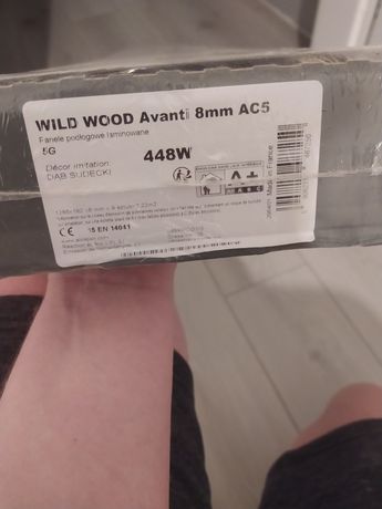 Wild wood Avanti 8mm AC5 panele podłogowe Dąb Sudecki