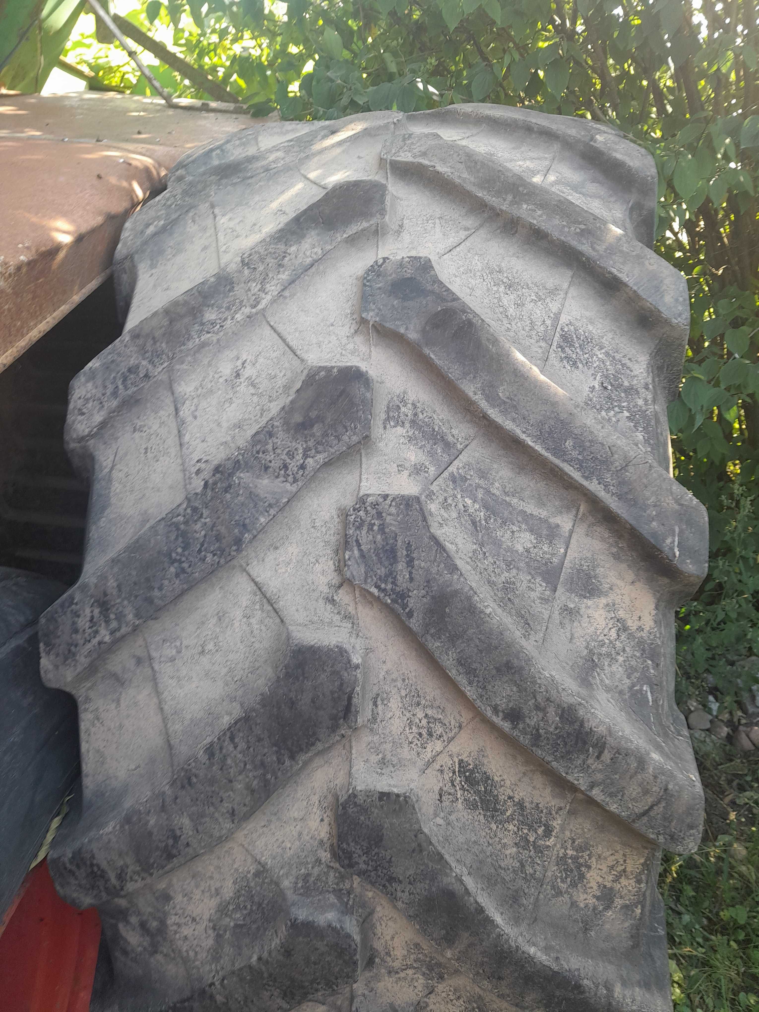 Opona 600/65 R 28 Trelleborg TM 800