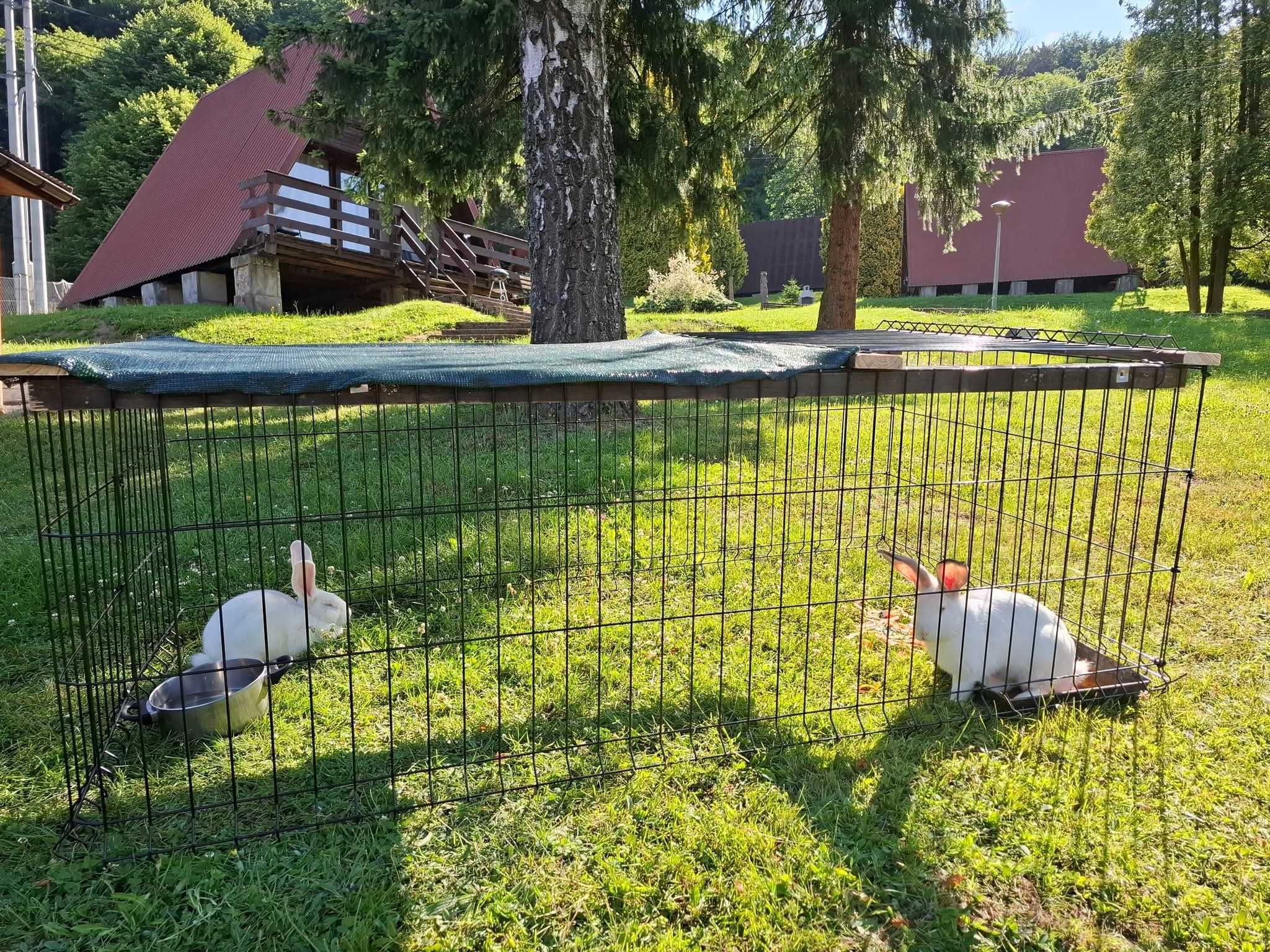 Domek w Bieszczadach Solina Polanczyk i okolice. Noclegi blisko wody