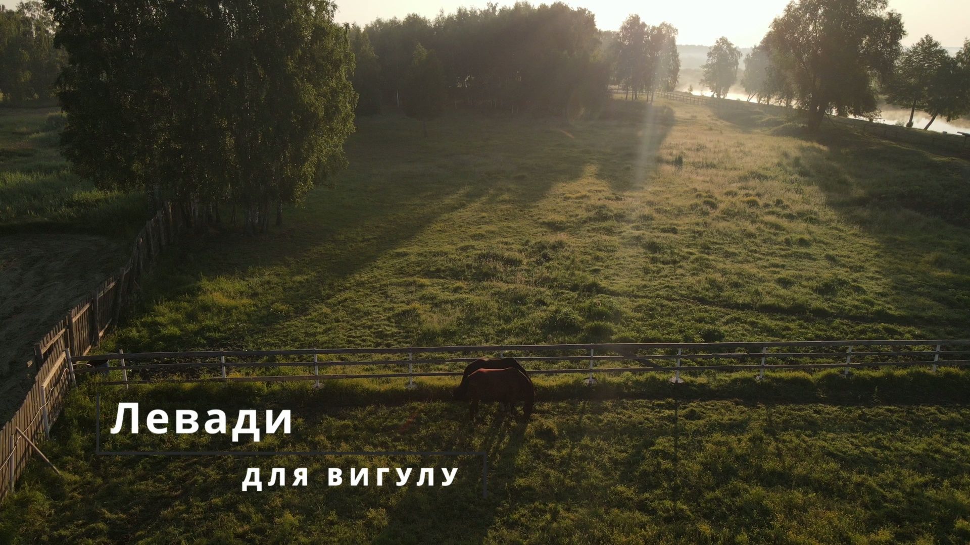Постой для конів, біля Києва