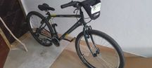 Bicicleta adulto