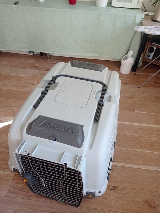 Transporter dla dużych psiaków