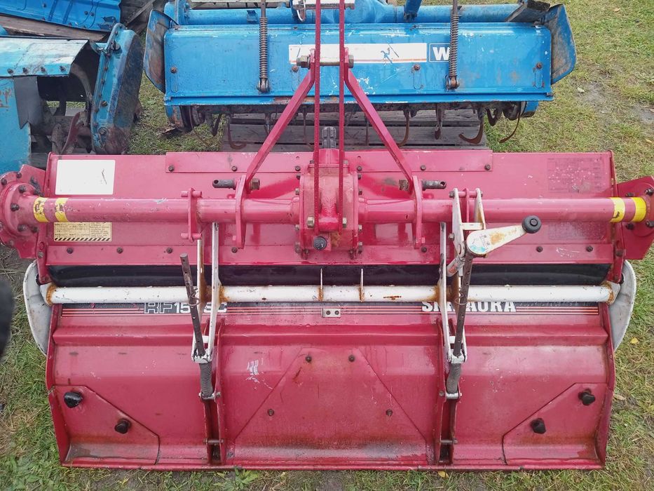 Glebogryzarka Japońska Szer 1.55 cm.