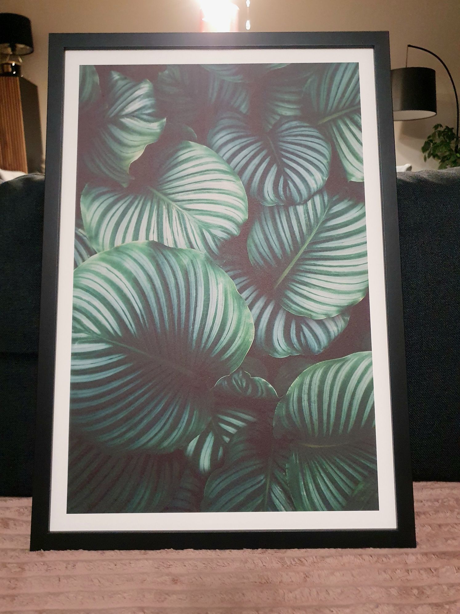 .:Zestaw Obrazów o tematyce Liście Monstera:.