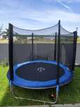 Trampolina 245cm