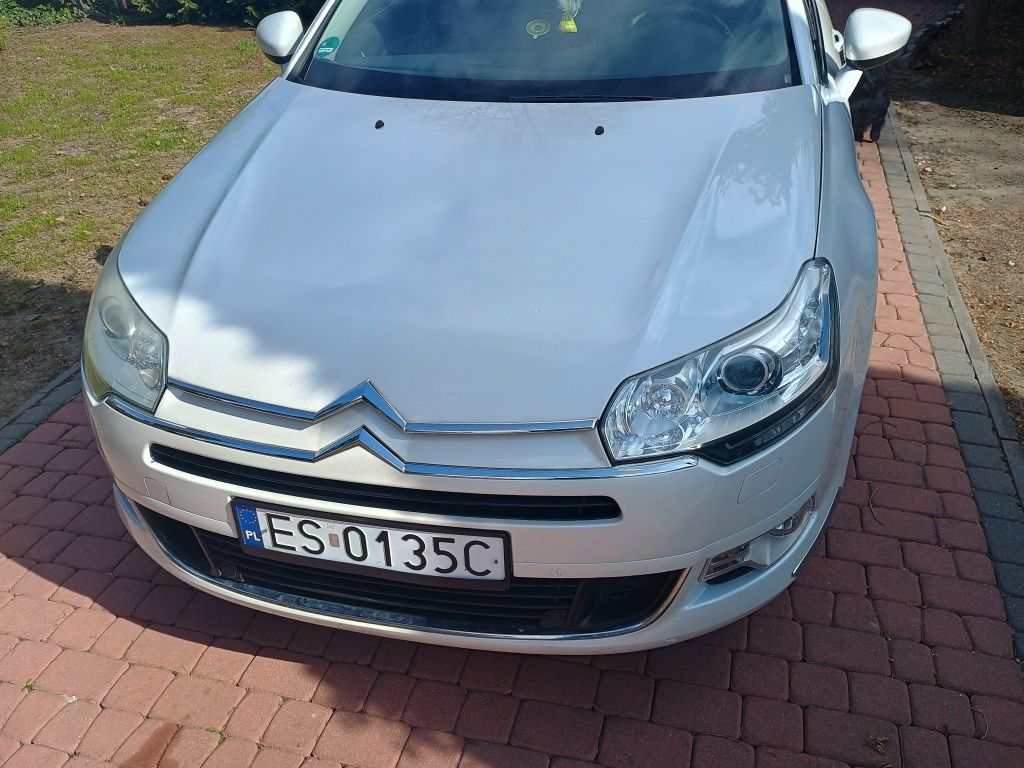 Citroen C5 biała perła