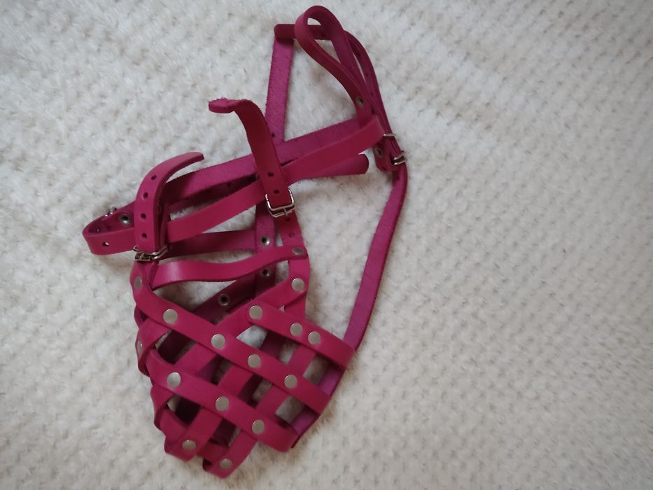 Duży kaganiec dla psa