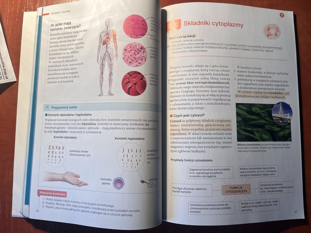 NOWA Biologia na czasie 1. Podrecznik dla liceum i technikum.