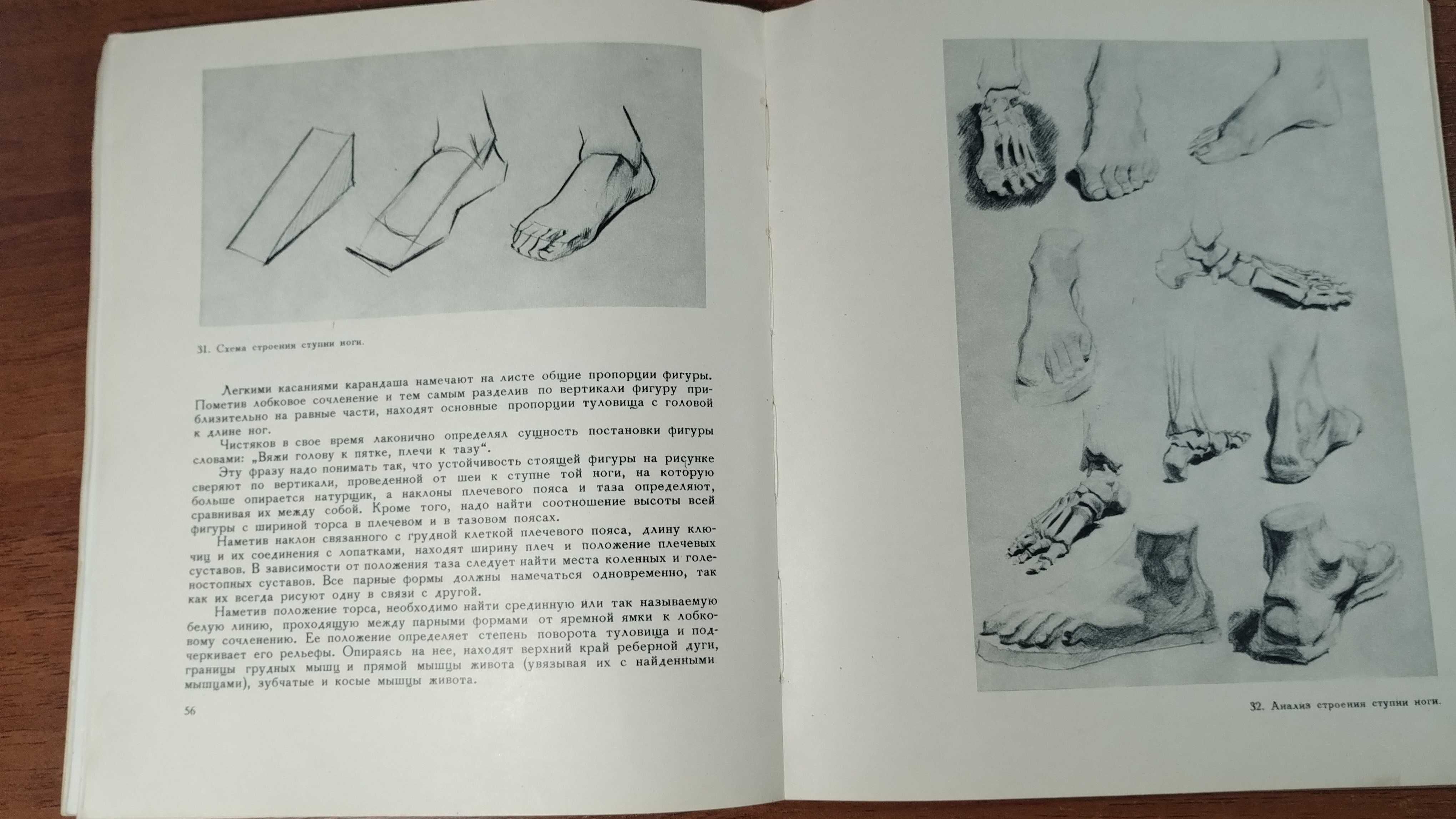 Начинающему художнику (Смирнова) Учебник рисования, графика