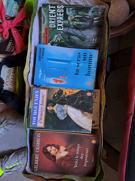 Lote de + 100 livros francês