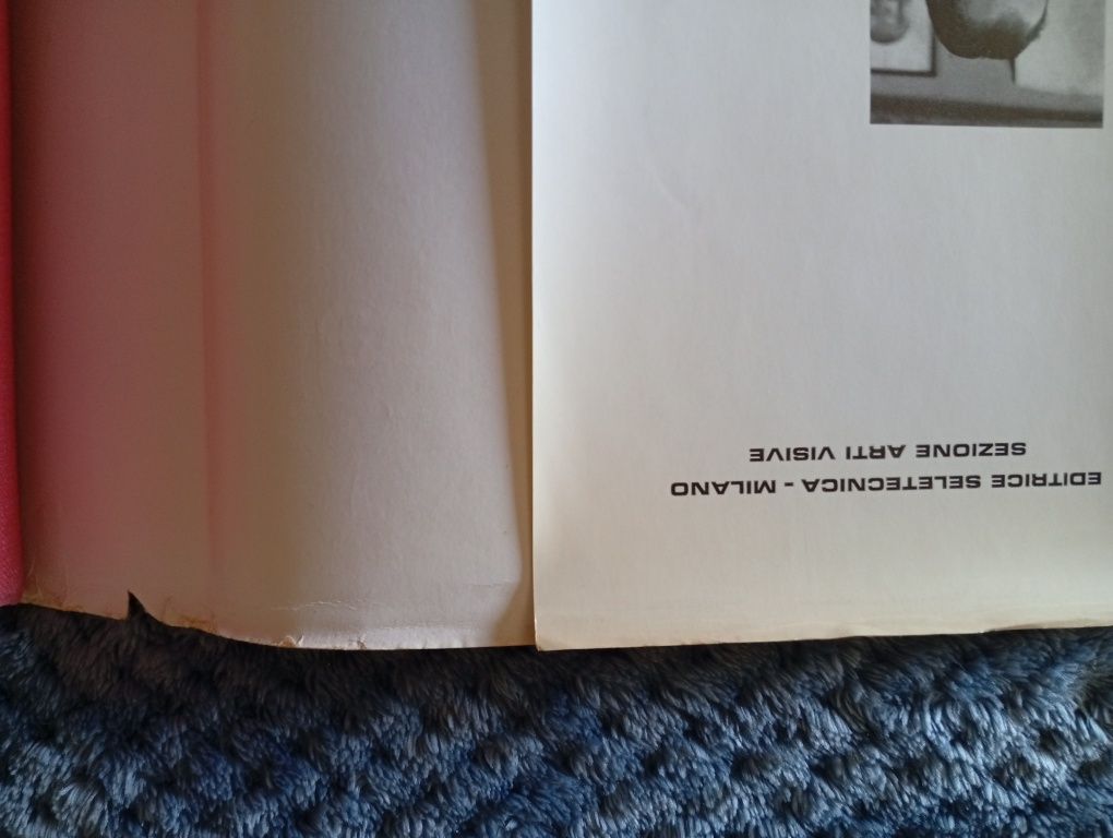 Livro Annuario degli artisti visivi italiani