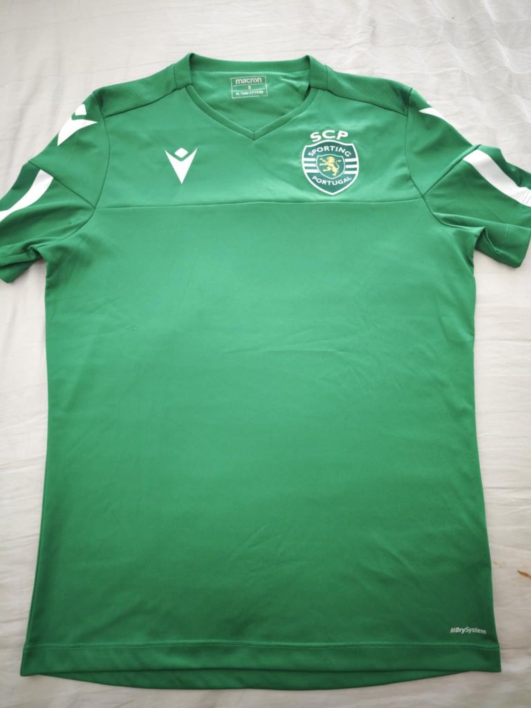 Vários artigos Sporting CP