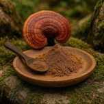 Рейши, Ganoderma lucidum, Molfar, 60г 120капсул по 500Mg