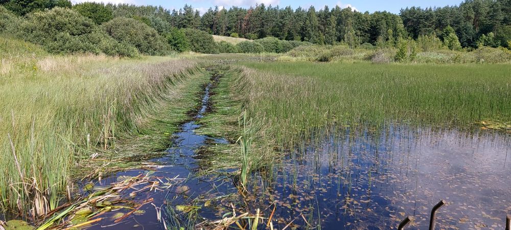 Koszenie trzciny , odmulanie , czyszczenie stawów I akwenów wodnych.