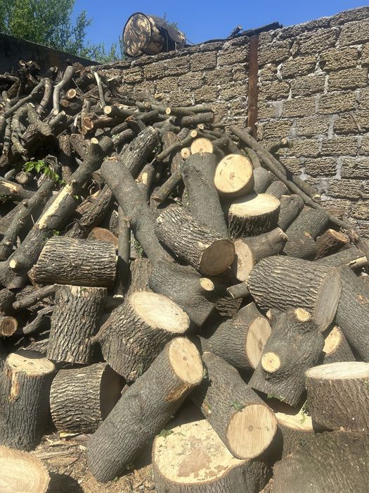 Дрова твердих порід | Метрові або колоті | Акація, берест, клен, ясень