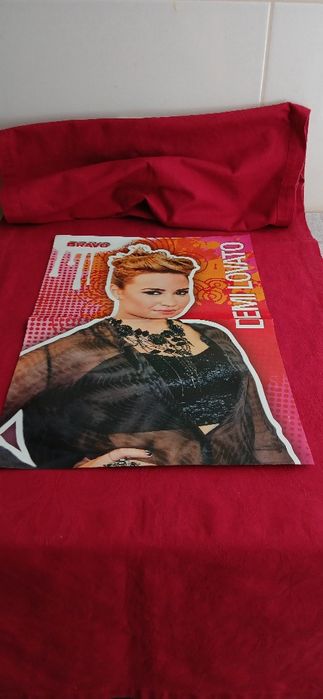 Poster Demi Lovato/The Wanted