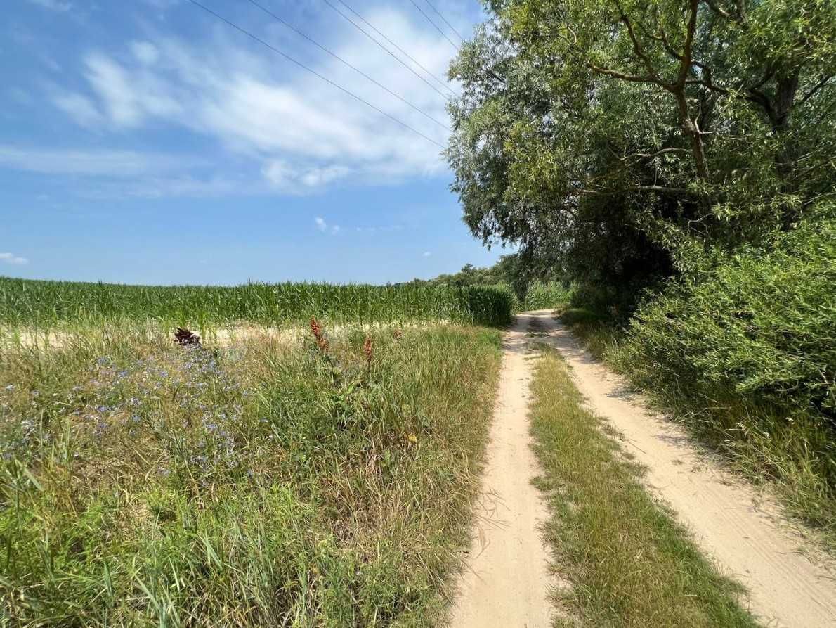 Продаж ділянки 3,11га (ОСГ). Поруч каскад озер.Фастівський р-н. ID:446