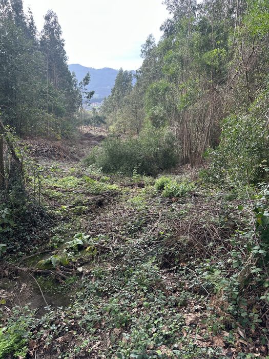 Terreno loteamento campo de golf 7000m2