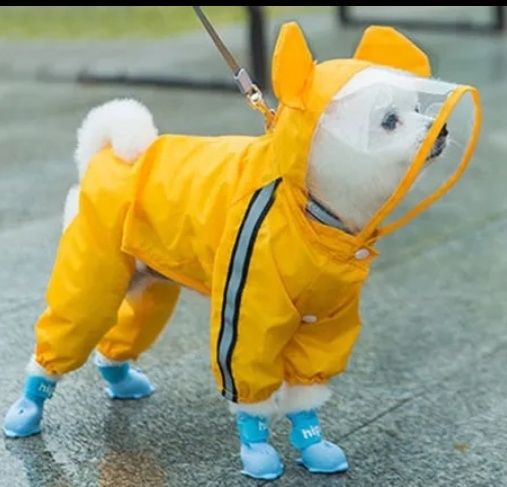 #Ubranko dla psa #płaszcz przeciwdeszczowy #kombinezon