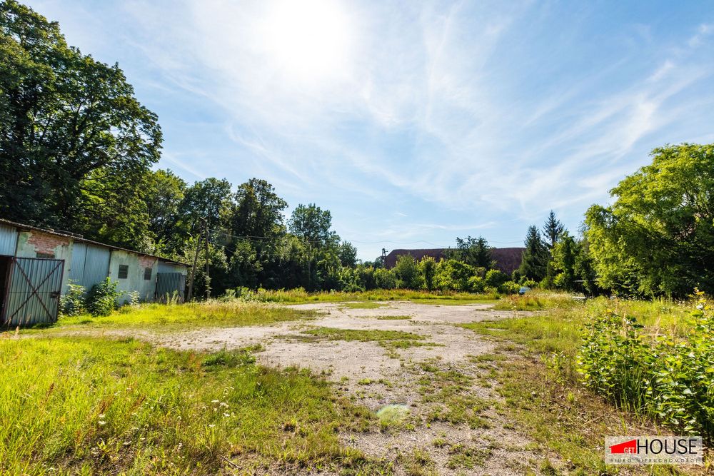 Baza dla Twojej firmy - Tomaszów Bolesławiecki.
