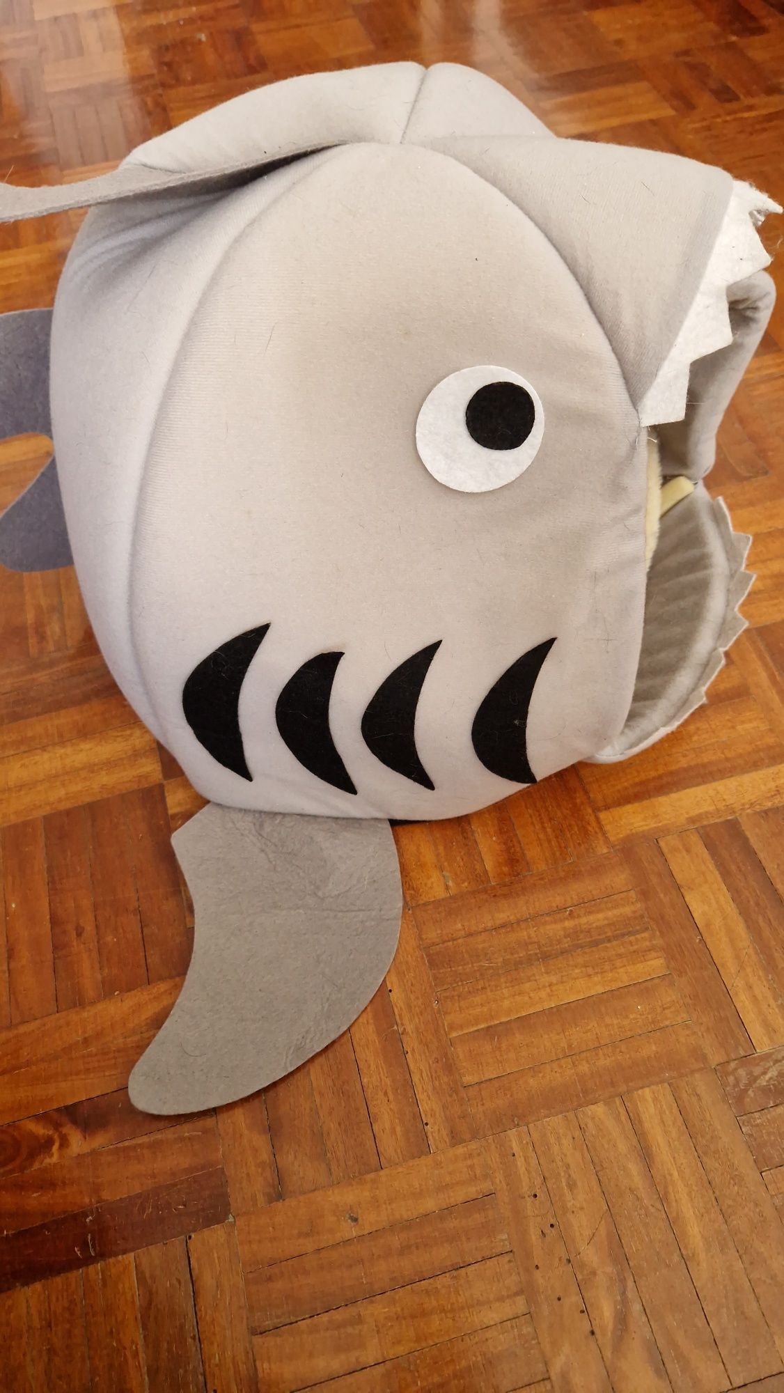 Cama de gato ou cão peixe tubarão