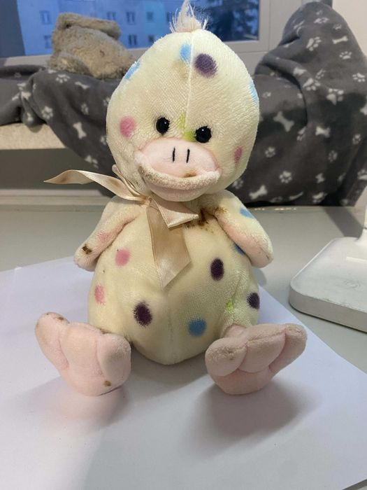 Kaczka Dziubek Sun-Day/Axiom