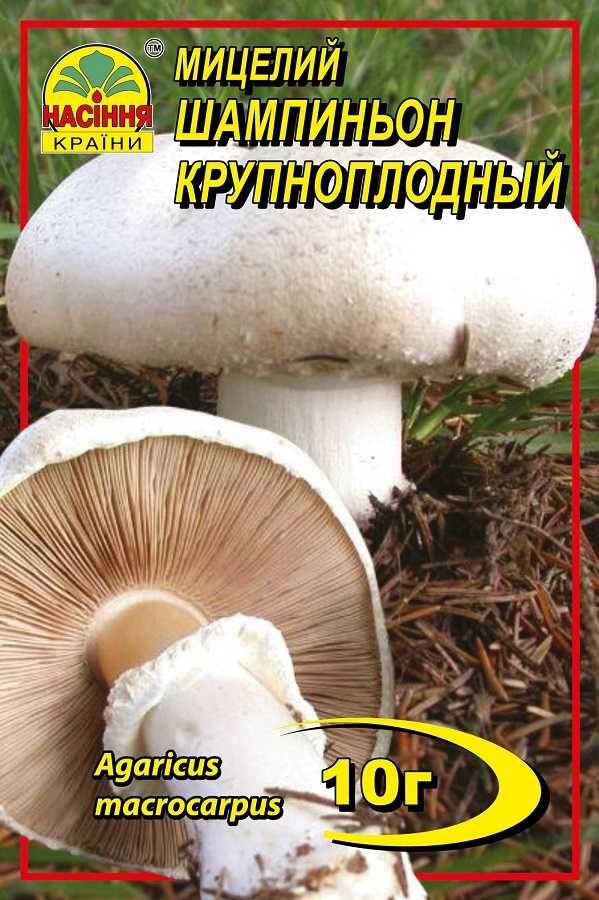 Мицелий грибов сухой