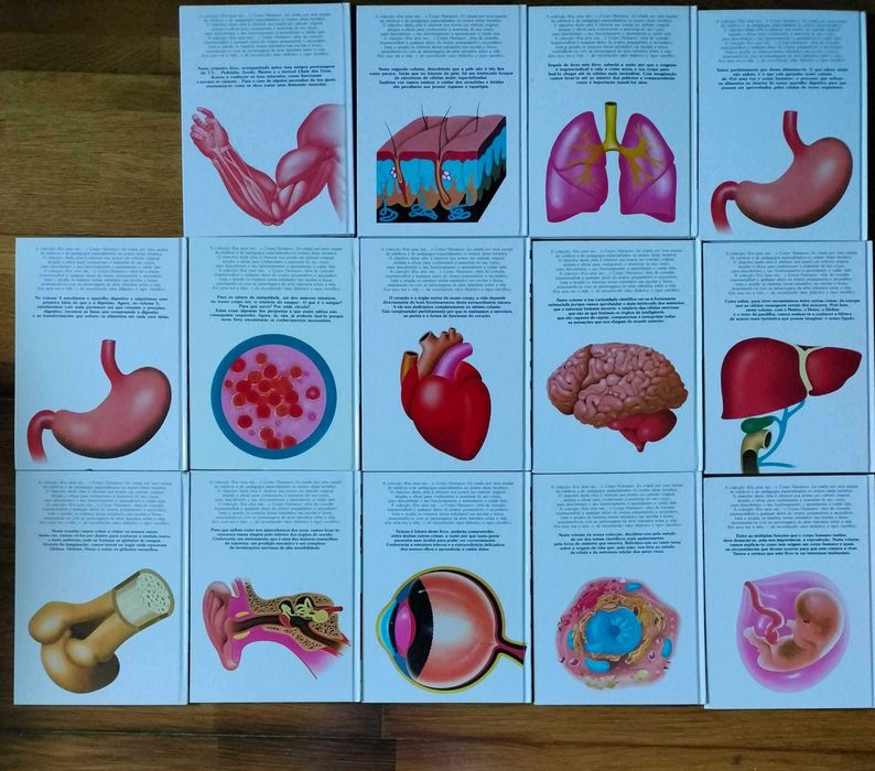 Era uma vez O Corpo Humano". Livros e DVDs da colecção