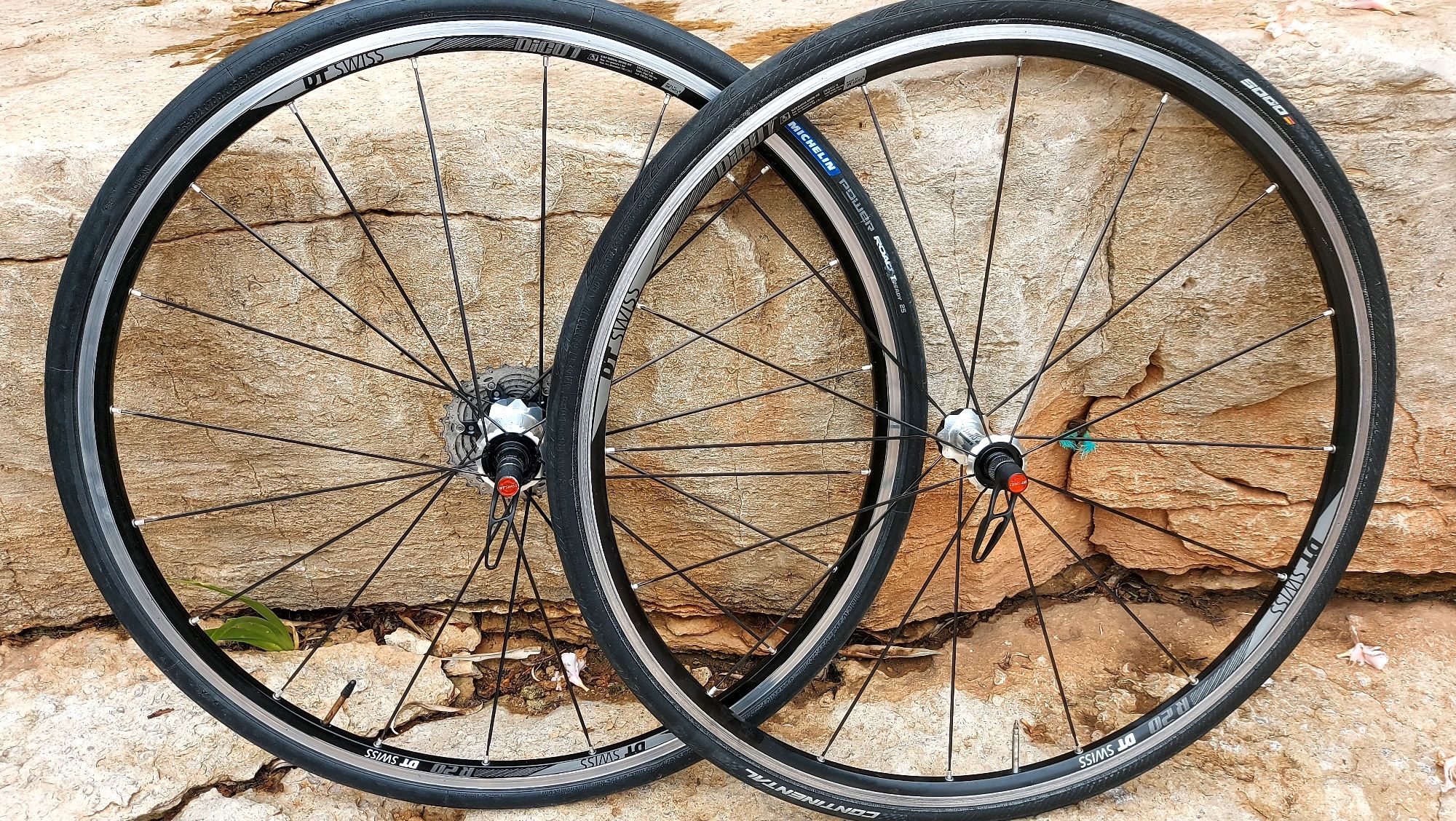 Rodas DTSWISS Dicut R20
