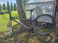 Rower Focus dla dziecka 22'