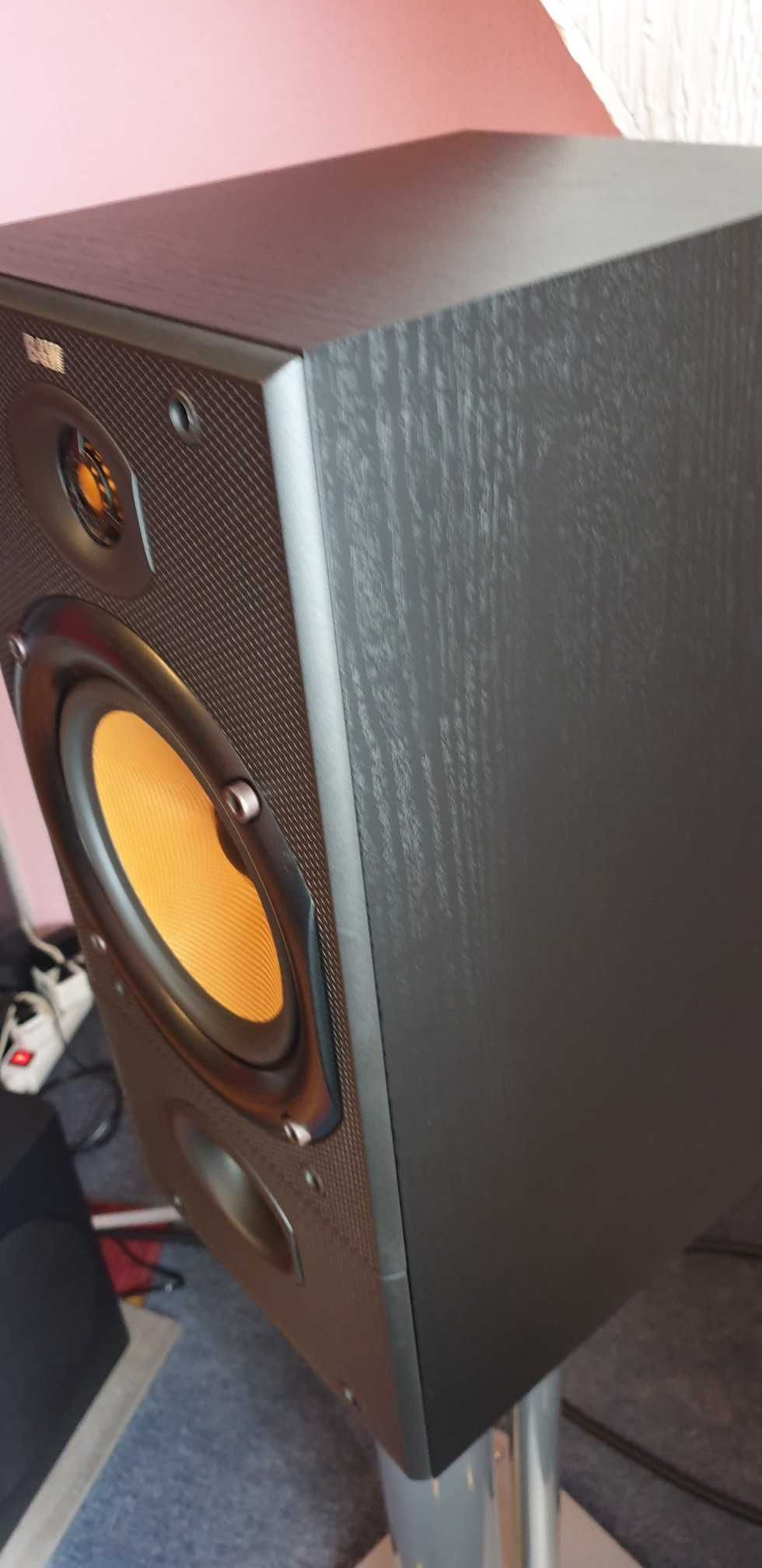 Bowers & Wilkins DM 602 1 wersja