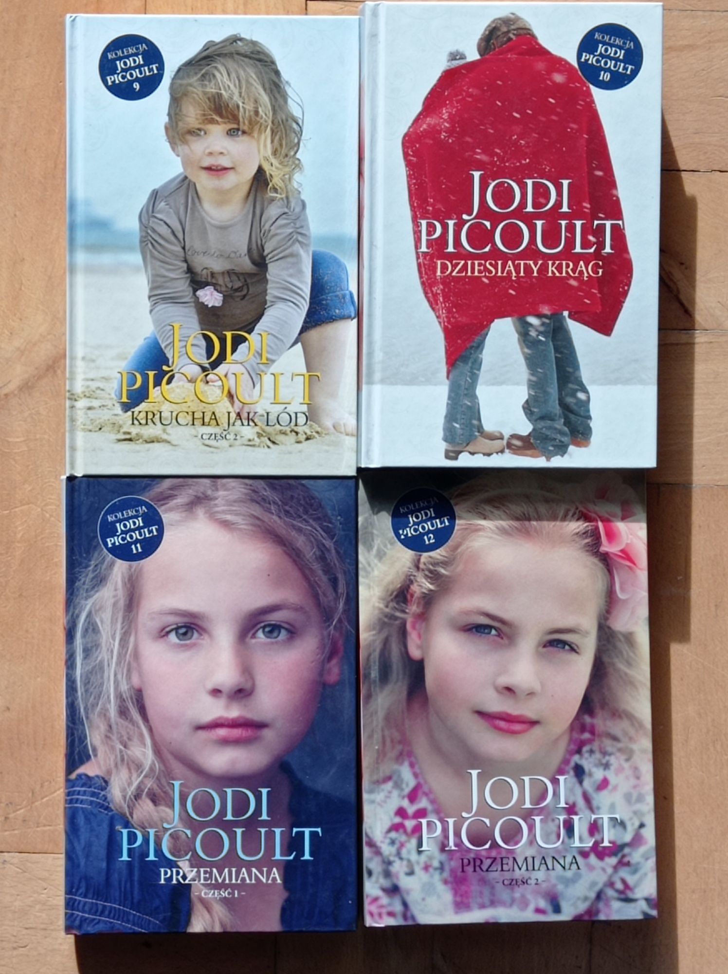 Jodi Picoult kolekcja 26 tomów komplet