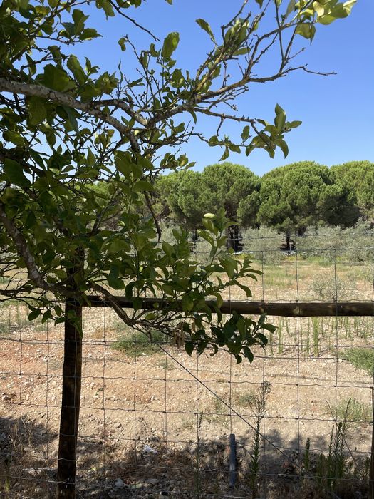 Vendo pequena quintinha parcialmemte remodelada