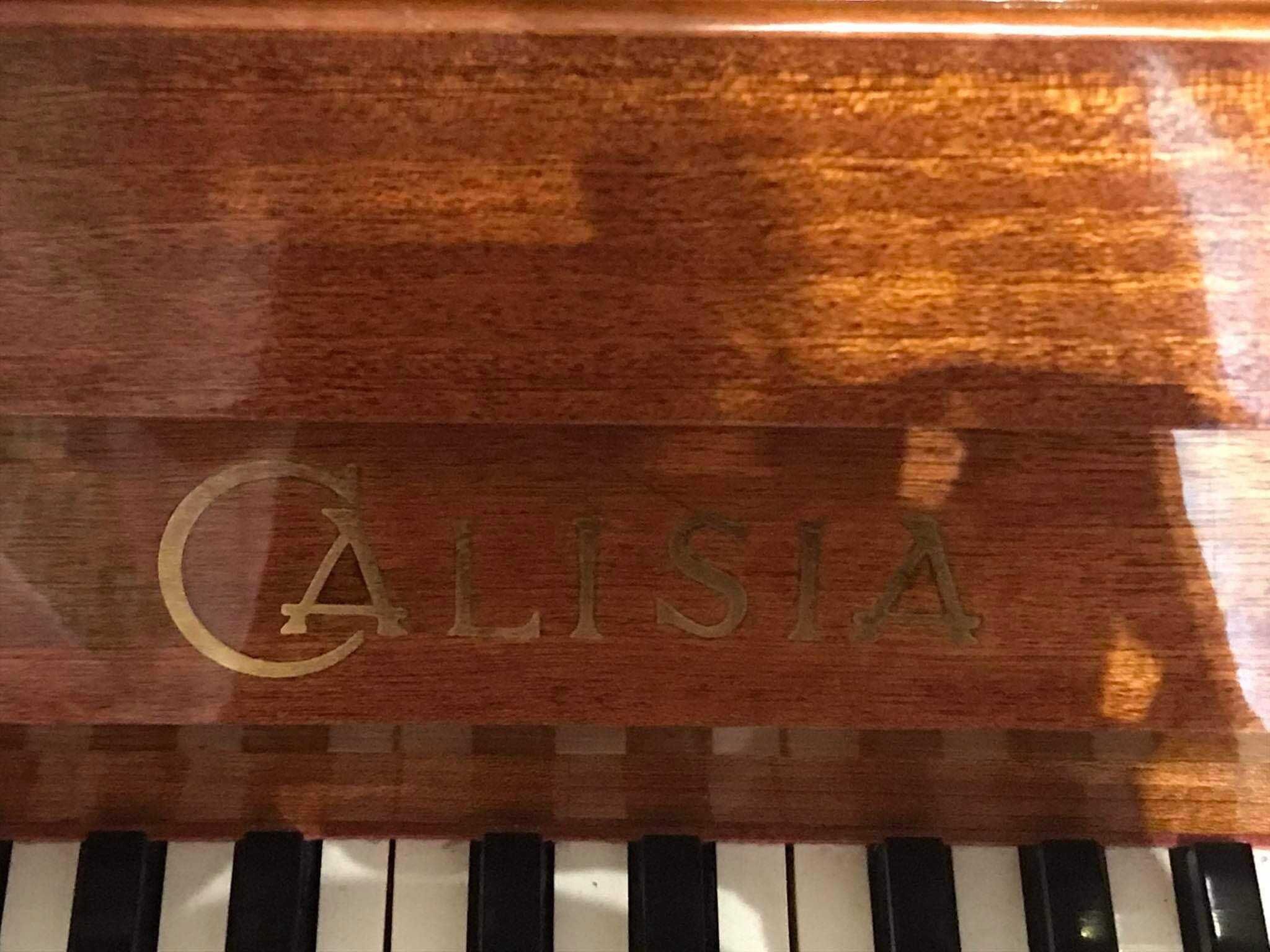 Pianino Calisia stan bdb